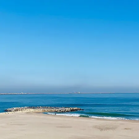 Guest house The House Of Roses Eforie Nord