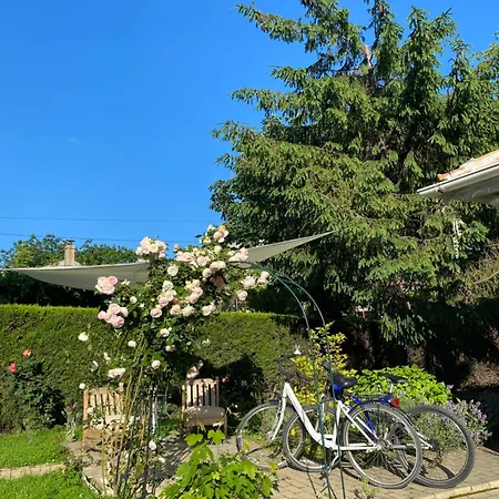 The House Of Roses 4*