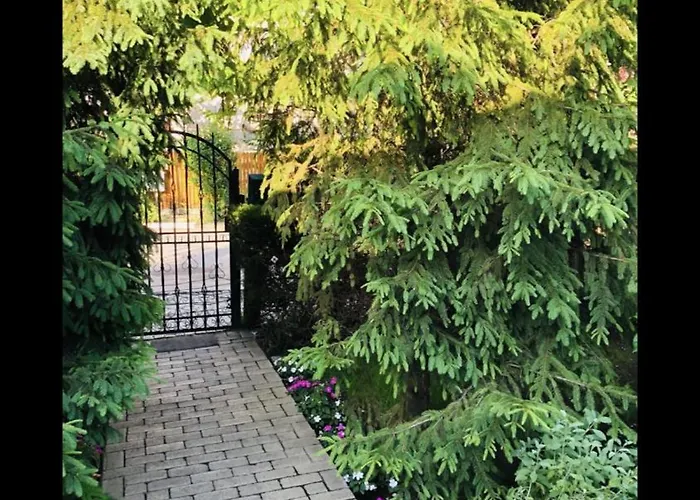 Casa de hóspedes The House Of Roses Eforie Nord