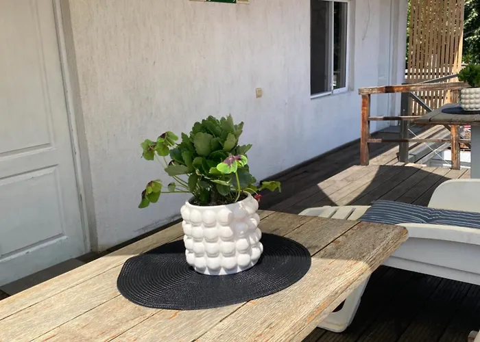 Casa de hóspedes The House Of Roses