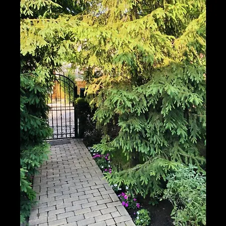 Gæstehus The House Of Roses Eforie Nord