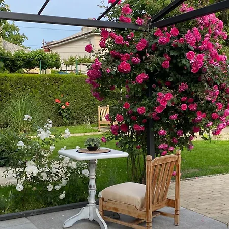 The House Of Roses Pensiune *