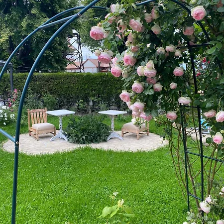 The House Of Roses Pensiune *