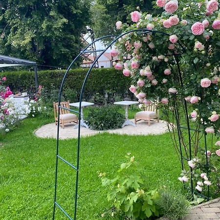 The House Of Roses Penzion