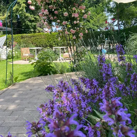 Гостевой дом The House Of Roses 4*