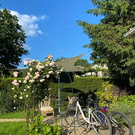 The House Of Roses Guest house