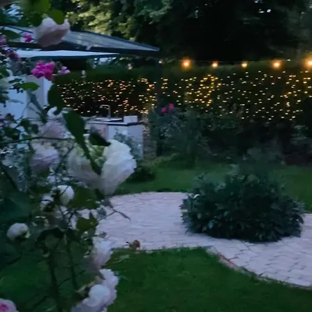 The House Of Roses