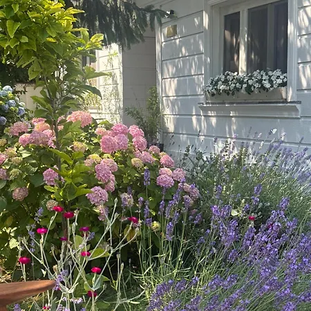 The House Of Roses 4* Eforie Nord