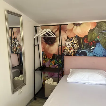 The House Of Roses 4* Eforie Nord