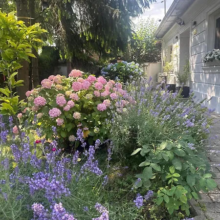 The House Of Roses
