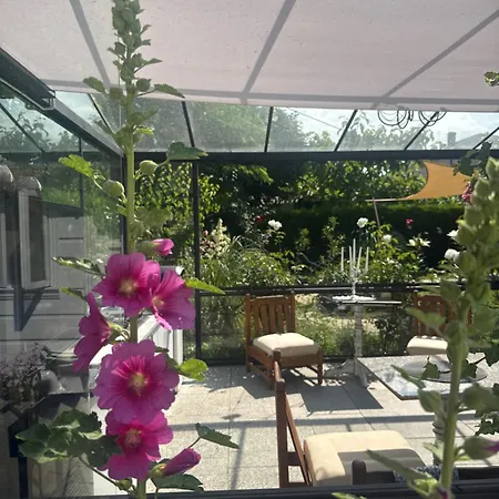 The House Of Roses Guest house 4*