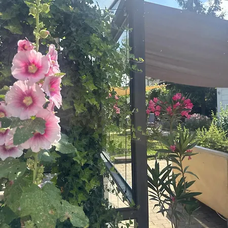 The House Of Roses Eforie Nord