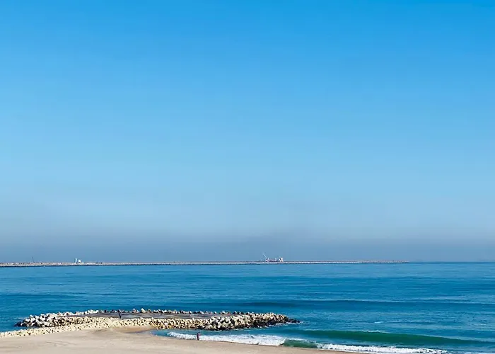 Gæstehus The House Of Roses Eforie Nord