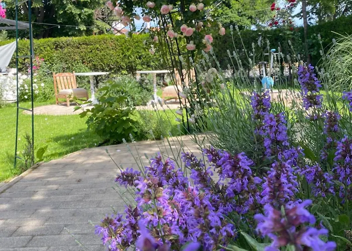 Gæstehus The House Of Roses 4*